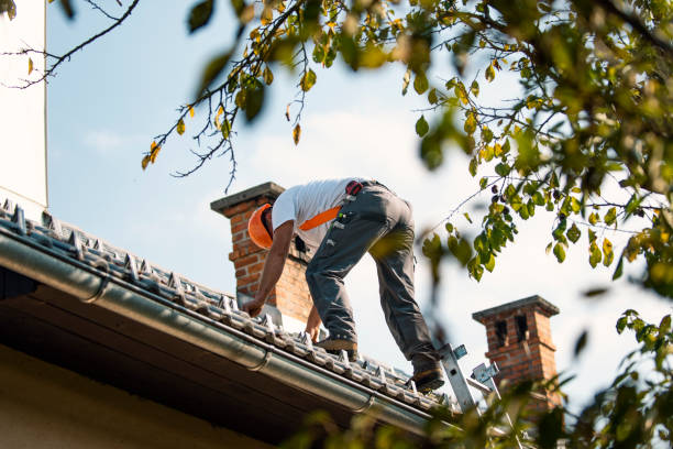 Best Residential Roofing Contractor  in Brillion, WI